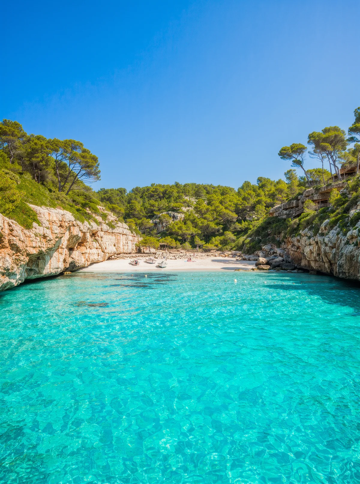 Türkisfarbene Bucht auf Mallorca mit hellem Sandstrand, Felsen und Pinien unter blauem Himmel