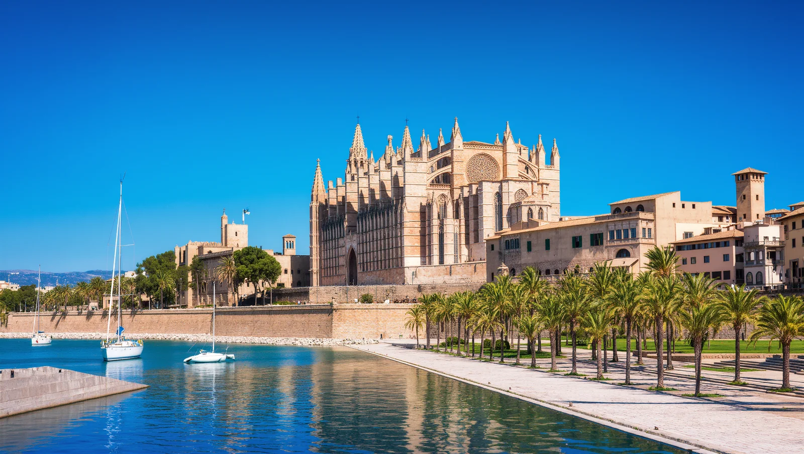 Hafen von Palma de Mallorca mit der Kathedrale La Seu und Palmen bei Tageslicht